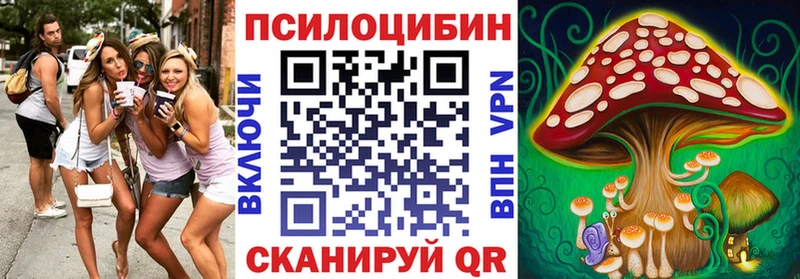 закладки  Заполярный  Псилоцибиновые грибы ЛСД 
